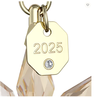 Cristalleria Swarovski in Cristallo 5701505 - 5701505